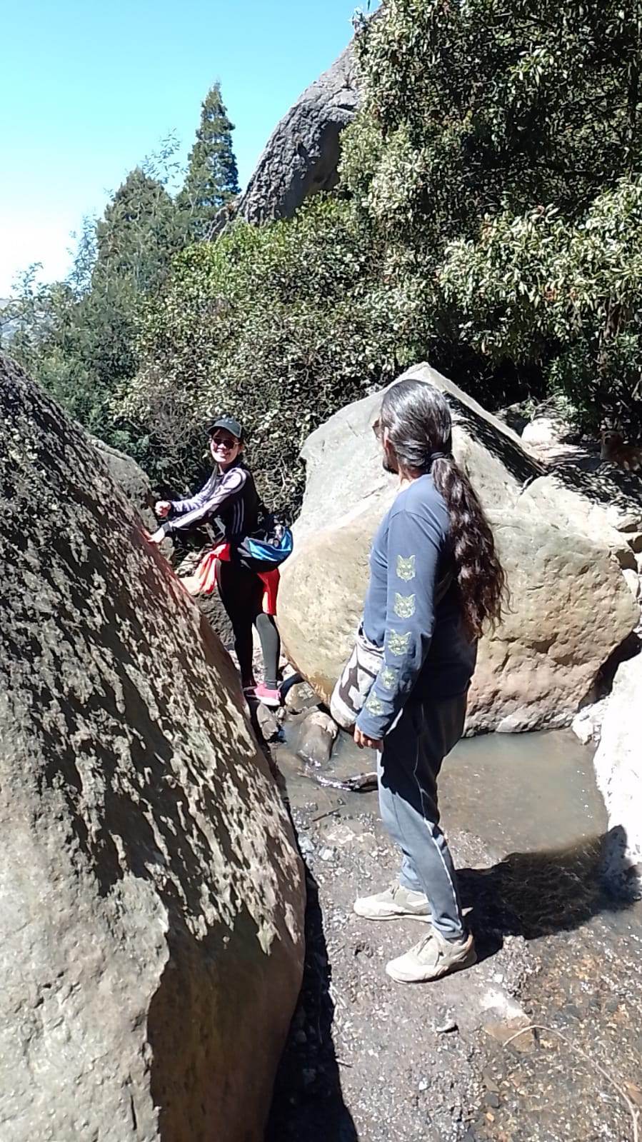 Farallones